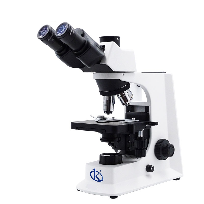 Microscopio Biológico de Laboratorio Binocular Plano YR07017-B