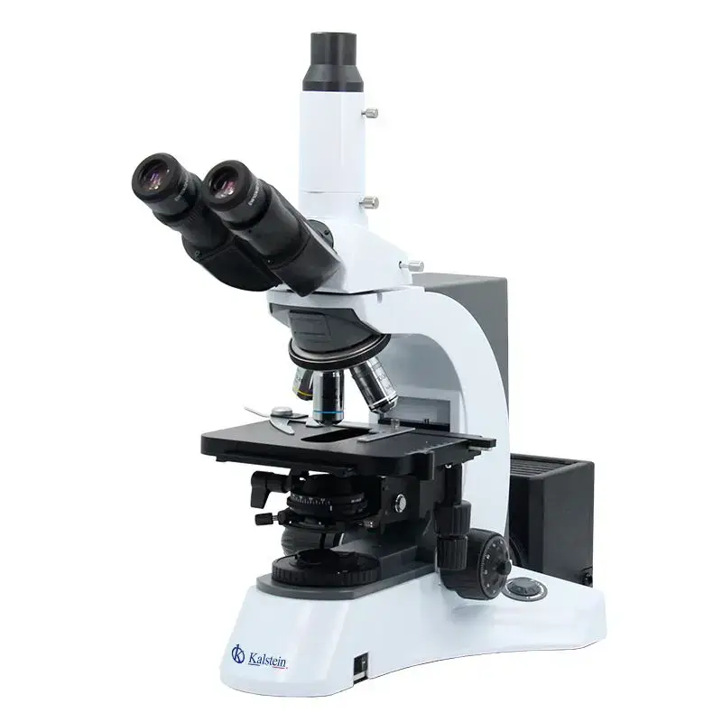 Microscopio Trinocular YR0231: Eficiencia Operativa Avanzada