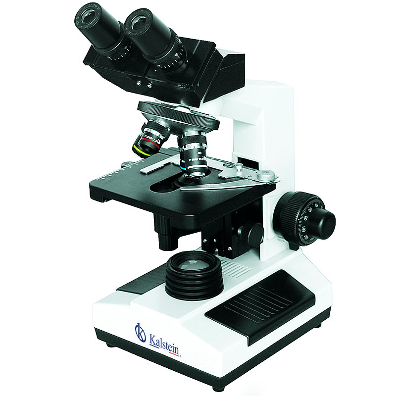 Microscopio biológico YR0242-1