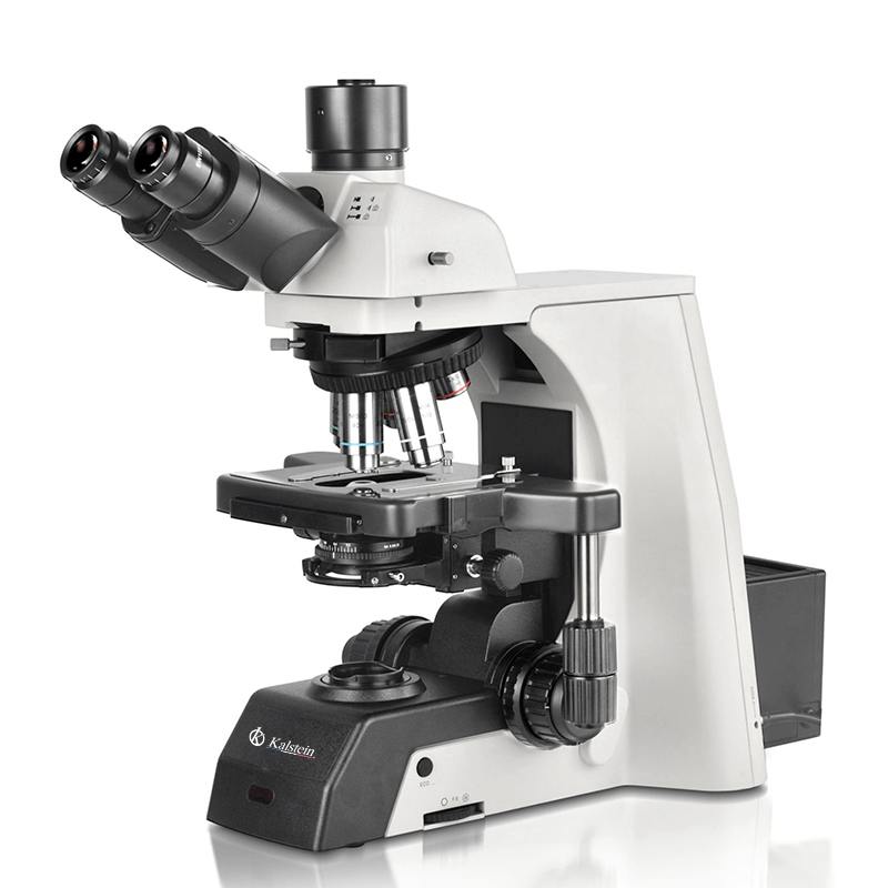 Microscopio Trinocular YR0266C: Rendimiento Técnico y Seguridad 2026