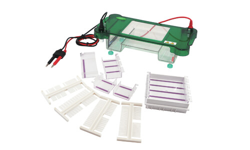 Errores frecuentes y troubleshooting por síntoma en la electroforesis horizontal YR03417