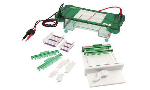 Comparativa de Especificaciones de la Electroforesis Horizontal YR03419