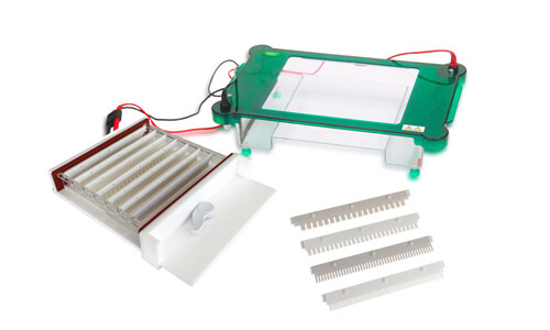 Glosario técnico y terminología clave del equipo YR03421: electroforesis horizontal
