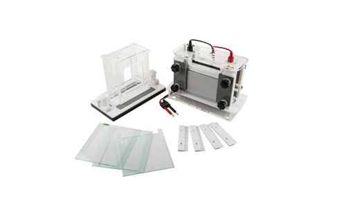 Mini electroforesis YR401