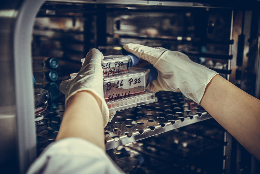 Estufa de secado, de lo sencillo a lo complejo.