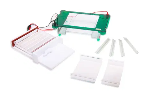 Innovaciones en Biología Molecular y la Nueva Era de los Equipos para Electroforesis de Gel