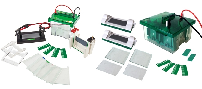 Comparativa Avanzada de Celdas de Electroforesis Vertical: Mini-Protean YR03425 vs. Mini-PROTEAN Tetra Cell