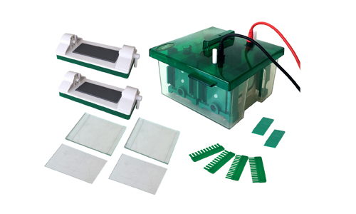 Electroforesis de hemoglobina y las hemoglobinopatías