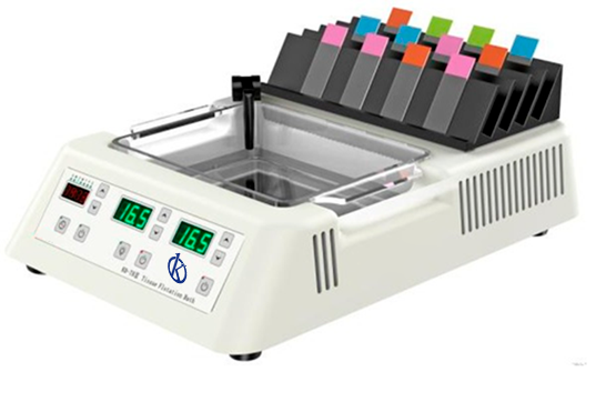 La anatomía patológica: Pilar revolucionario en los hallazgos médicos contemporáneos y la importancia de su equipamiento de laboratorio