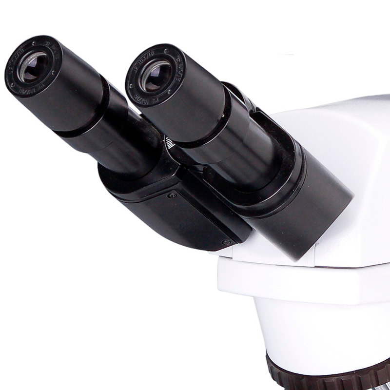 Microscopio de laboratorio YR0237 – 1