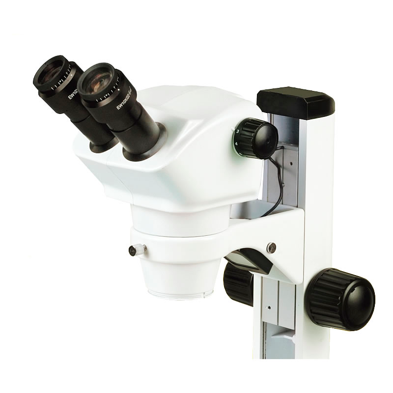 Microscopio Binocular de Laboratorio YR0254 – 1