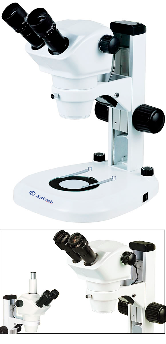 Microscopio Binocular de Laboratorio YR0254 – 2