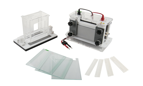 Tanque de Electroforesis Vertical YR03432