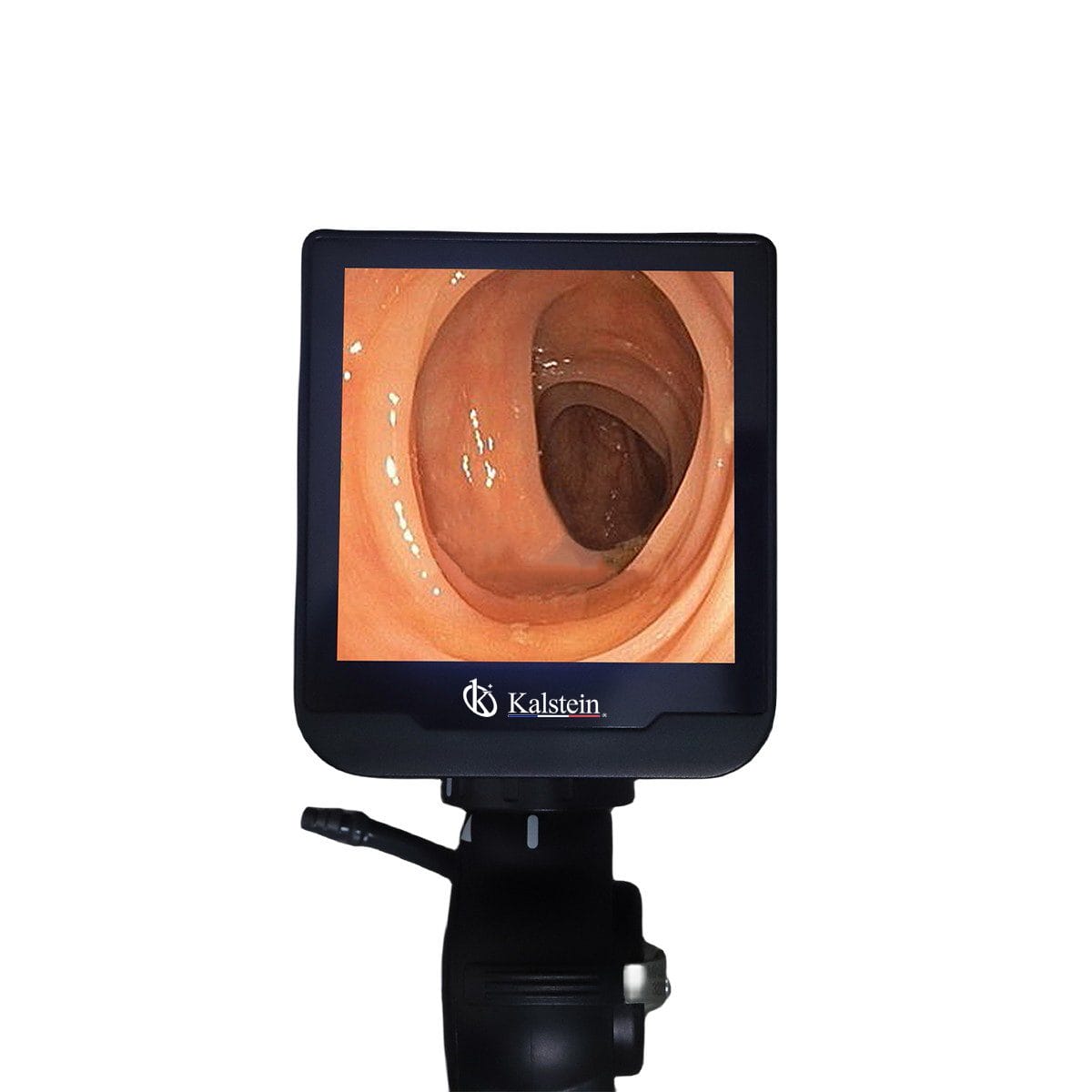 Descubriendo el Futuro de la Veterinaria: El Impacto de los Endoscopios de Video Veterinarios