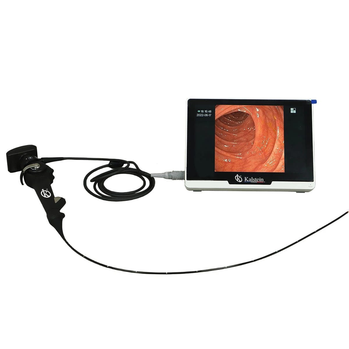 El Rol Transformador del Endoscopio de Vídeo Veterinario de Kalstein en el Diagnóstico y Tratamiento de Enfermedades Animales