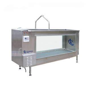 El Futuro de la Fisioterapia: Descubriendo las Caminadoras Subacuáticas para Mascotas