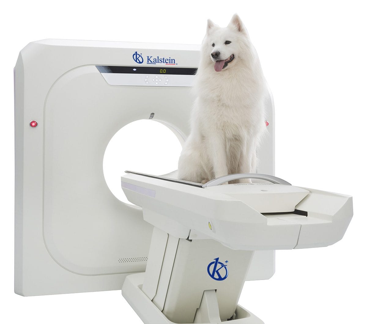 Descubre el Futuro del Diagnóstico Animal con el Escáner TC Veterinario