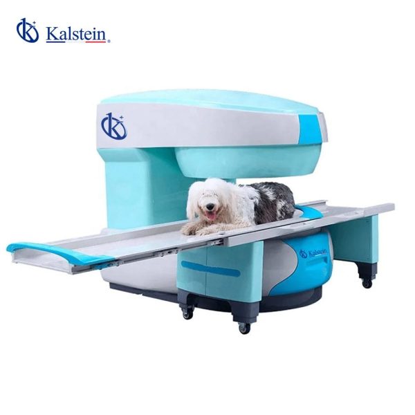 Descubra la Innovación en Diagnóstico con la Resonancia Magnética Veterinaria de Alta Definición